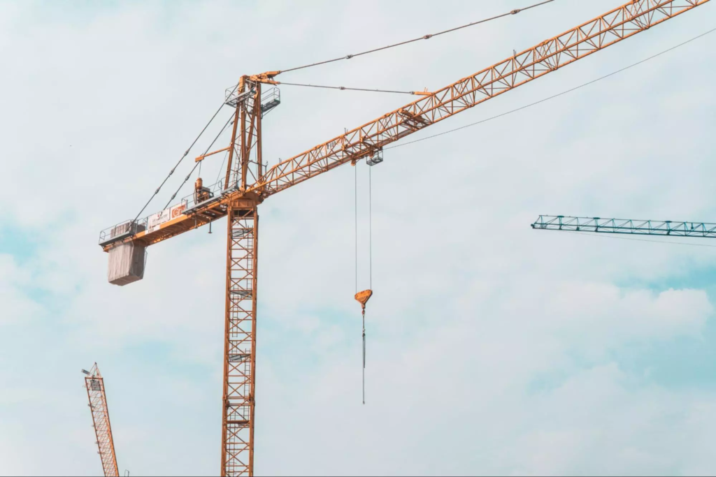 Signalisation grue : quels balisages faut-il ?